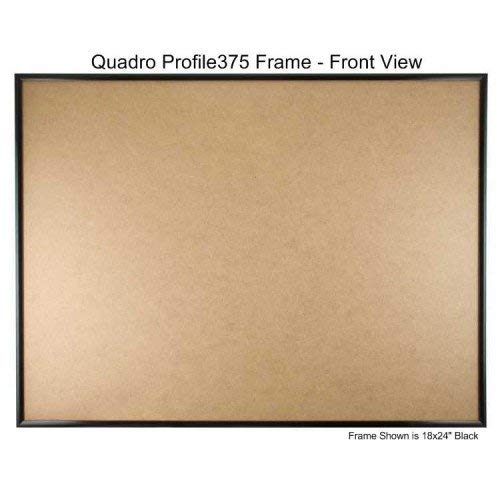 Quadro Frames 18x28 inch Picture Frame, Black, Style P375 - 3/8 inch Wide Molding, Box of 4