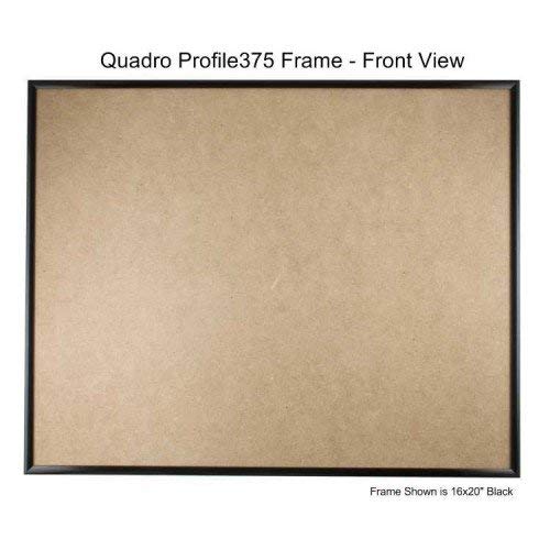 Quadro Frames 17x26 inch Picture Frame, Black, Style P375 - 3/8 inch Wide Molding, Box of 4