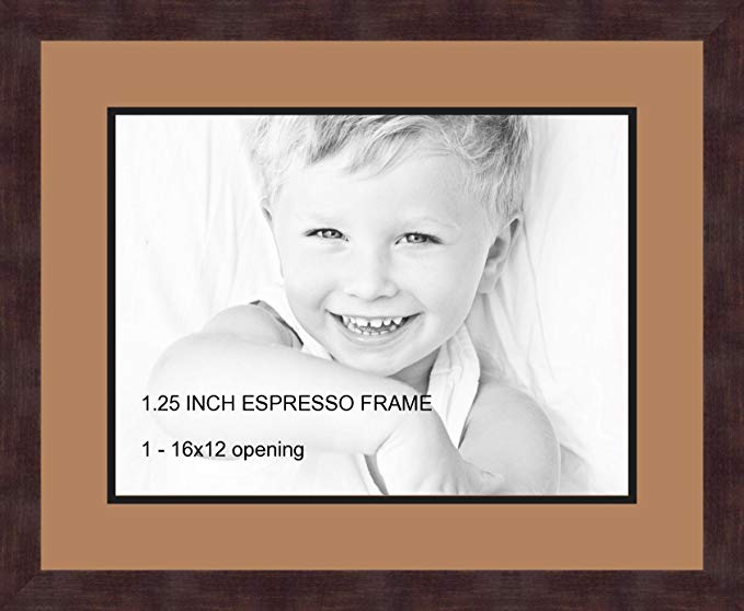 Art to Frames Double-Multimat-728-771/89-FRBW26061 Collage Frame Photo Mat Double Mat with 1 - 12x16 Openings and Espresso frame