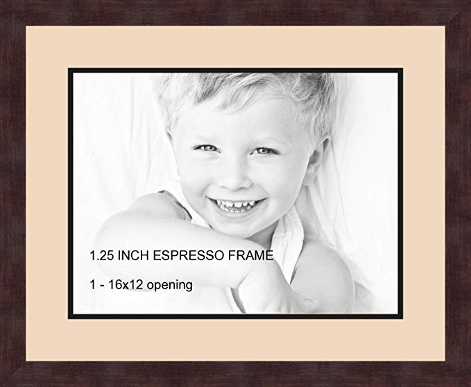 Art to Frames Double-Multimat-728-783/89-FRBW26061 Collage Frame Photo Mat Double Mat with 1 - 12x16 Openings and Espresso frame