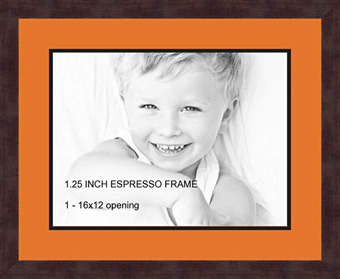 Art to Frames Double-Multimat-728-712/89-FRBW26061 Collage Frame Photo Mat Double Mat with 1 - 12x16 Openings and Espresso frame