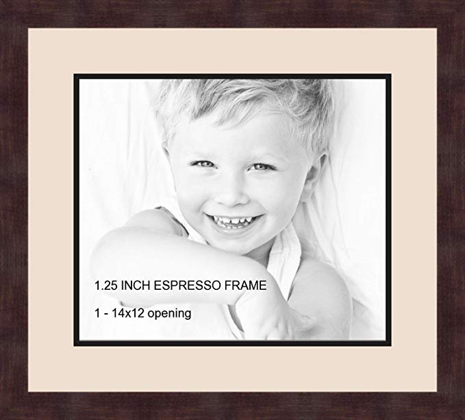 Art to Frames Double-Multimat-741-825/89-FRBW26061 Collage Frame Photo Mat Double Mat with 1 - 12x14 Openings and Espresso frame