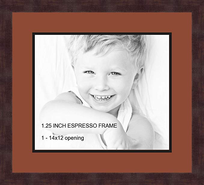 Art to Frames Double-Multimat-741-766/89-FRBW26061 Collage Frame Photo Mat Double Mat with 1 - 12x14 Openings and Espresso frame