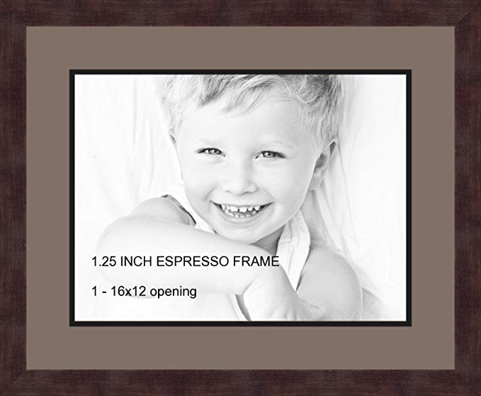 Art to Frames Double-Multimat-728-748/89-FRBW26061 Collage Frame Photo Mat Double Mat with 1 - 12x16 Openings and Espresso frame