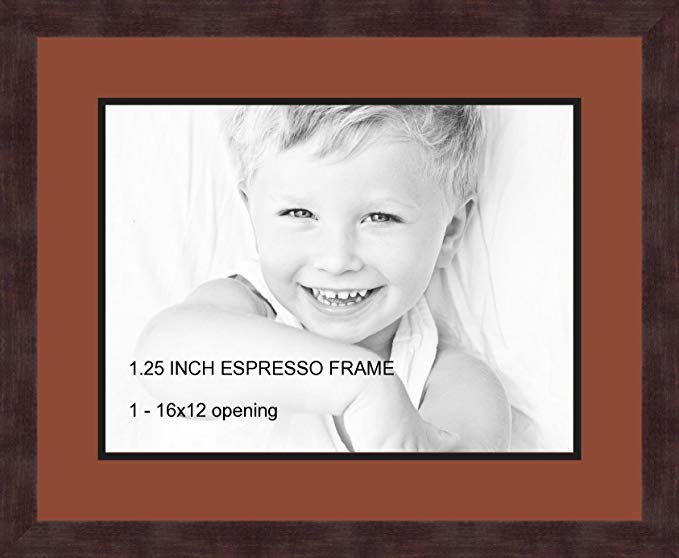 Art to Frames Double-Multimat-728-766/89-FRBW26061 Collage Frame Photo Mat Double Mat with 1-12x16 Openings and Espresso frame