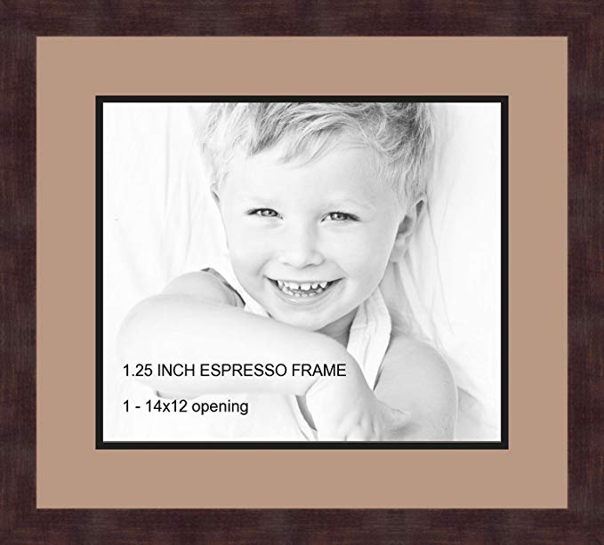Art to Frames Double-Multimat-741-767/89-FRBW26061 Collage Frame Photo Mat Double Mat with 1-12x14 Openings and Espresso frame