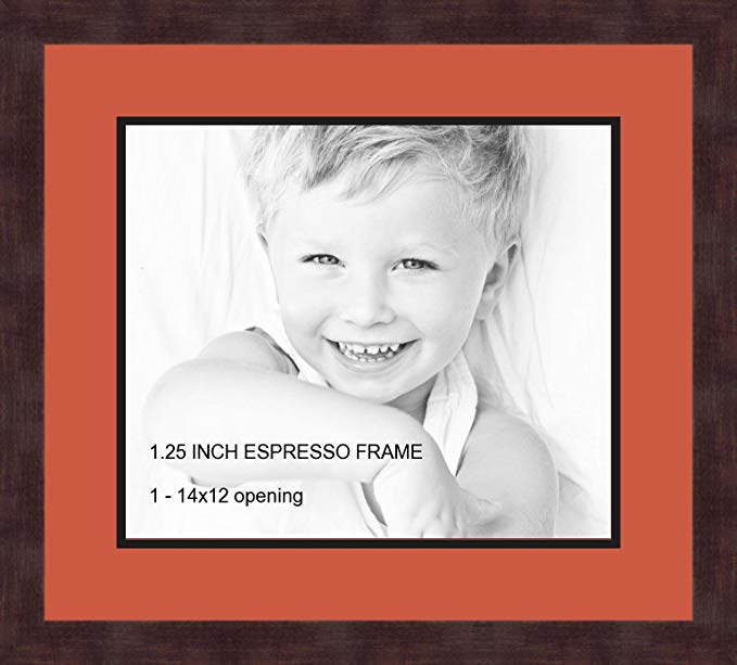 Art to Frames Double-Multimat-741-693/89-FRBW26061 Collage Frame Photo Mat Double Mat with 1-12x14 Openings and Espresso frame