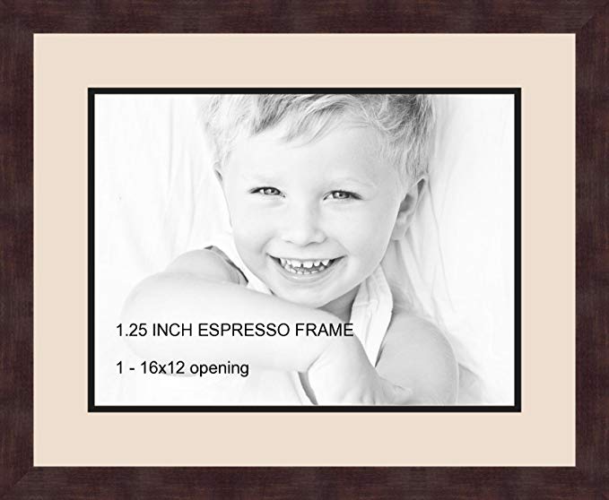 Art to Frames Double-Multimat-728-825/89-FRBW26061 Collage Frame Photo Mat Double Mat with 1 - 12x16 Openings and Espresso frame