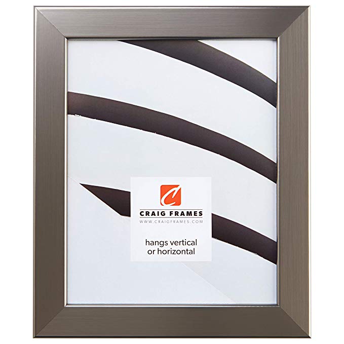 Craig Frames 26966 22 x 36-Inch Picture Frame, Smooth Wrap Finish, 1.26-Inch Wide, Silver Stainless