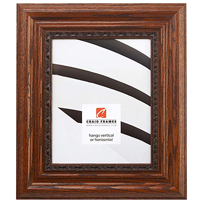 Craig Frames 81373100, Dark Brown Oak Picture Frame, 20 by 26-Inch