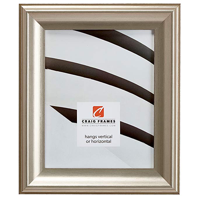 Craig Frames 9005 22 by 28-Inch Picture Frame, Smooth Finish, 1.8-Inch Wide, Brushed Silver