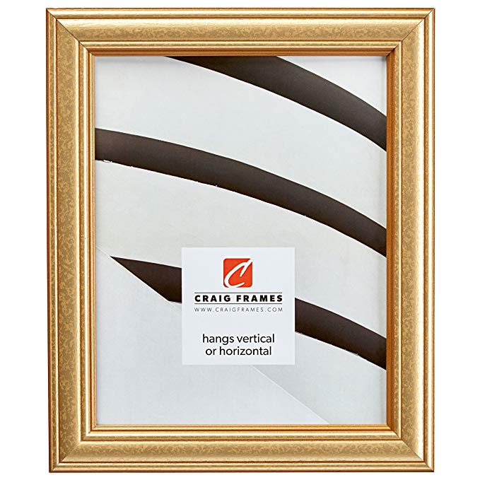 Craig Frames 59945000 24 by 24-Inch Picture Frame, Smooth Finish, 1.25-Inch Wide, Gold, Acrylic Facing, Foamcore Backing