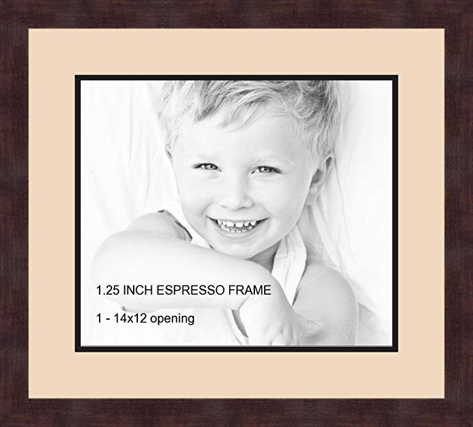 Art to Frames Double-Multimat-741-783/89-FRBW26061 Collage Frame Photo Mat Double Mat with 1-12x14 Openings and Espresso frame