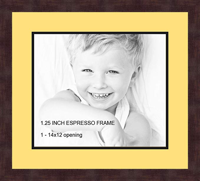 Art to Frames Double-Multimat-741-47R/89-FRBW26061 Collage Frame Photo Mat Double Mat with 1-12x14 Openings and Espresso frame