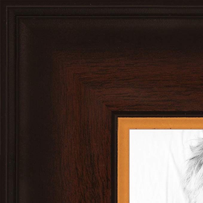 ArtToFrames 21x34 inch Mahogany and Gold Wood Picture Frame, 2WOMM10666-21x34