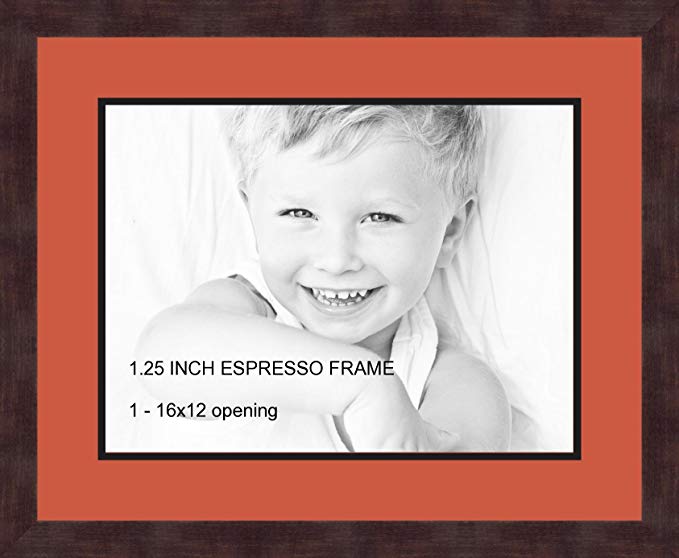 Art to Frames Double-Multimat-728-693/89-FRBW26061 Collage Frame Photo Mat Double Mat with 1 - 12x16 Openings and Espresso frame