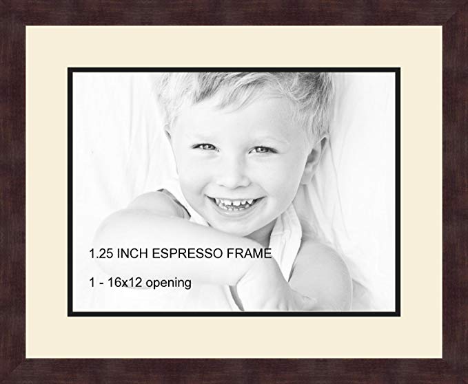 Art to Frames Double-Multimat-728-128/89-FRBW26061 Collage Frame Photo Mat Double Mat with 1-12x16 Openings and Espresso frame