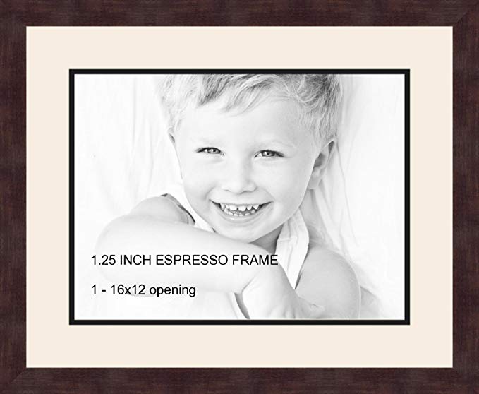 Art to Frames Double-Multimat-728-824/89-FRBW26061 Collage Frame Photo Mat Double Mat with 1-12x16 Openings and Espresso frame