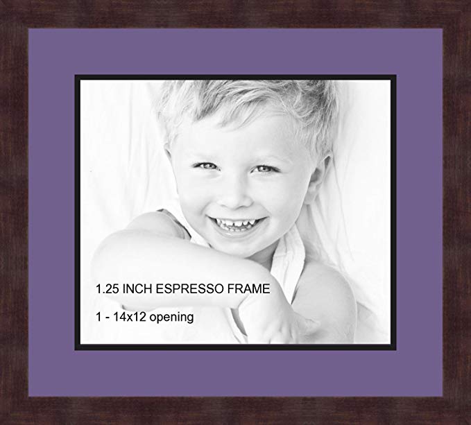 Art to Frames Double-Multimat-741-849/89-FRBW26061 Collage Frame Photo Mat Double Mat with 1-12x14 Openings and Espresso frame