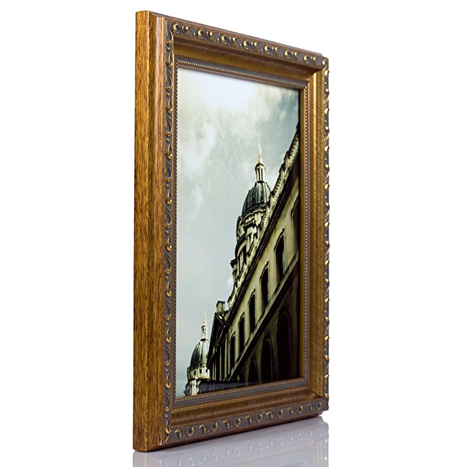 Craig Frames 6301 22 by 27-Inch Picture Frame, Smooth Brushed Ornate Finish, 1.325-Inch wide, Gold