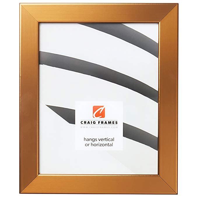 Craig Frames Bauhaus 125 Picture Frame, 24 x 36 Inch, Stainless Brass