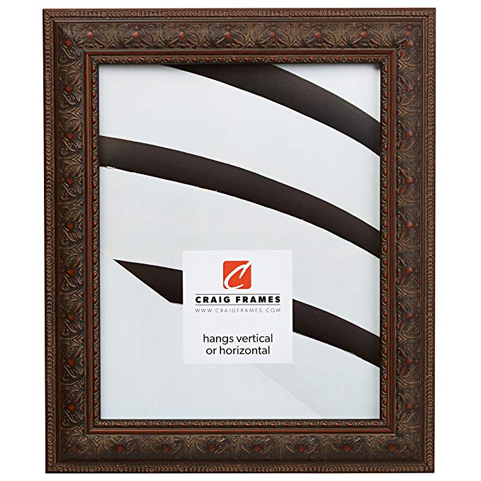 Craig Frames 9535 20 by 24-Inch Picture Frame, Antique Ornate Finish, 1.5-Inch Wide, Aged Mahogany, Acrylic Facing, Foamcore Backing