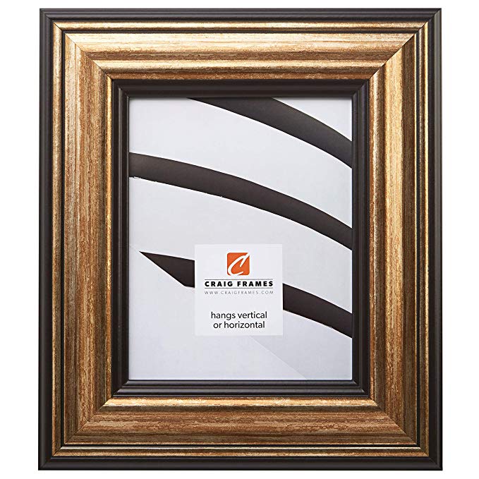 Craig Frames 21307201 24 by 36-Inch Picture Frame, Smooth Finish, 3.015-Inch Wide, Copper Tones, Acrylic Facing, Foamcore Backing