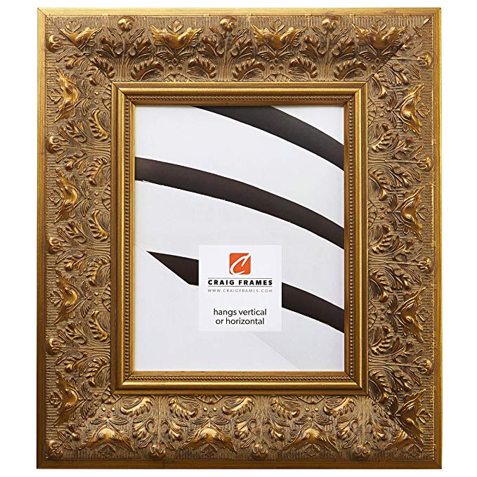 Craig Frames 9472 20 by 24-Inch Picture Frame, Ornate Finish, 3.5-Inch Wide, Weathered Gold