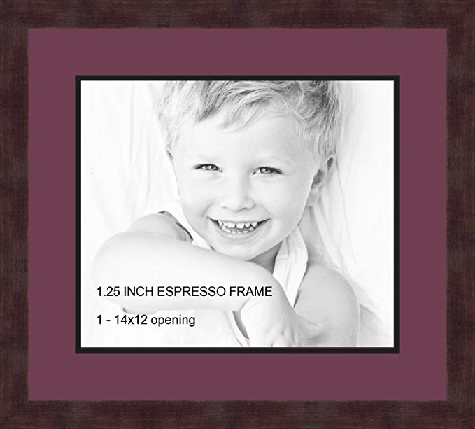Art to Frames Double-Multimat-741-815/89-FRBW26061 Collage Frame Photo Mat Double Mat with 1 - 12x14 Openings and Espresso frame
